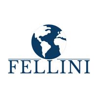 Fellini FZE