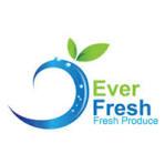 Everfresh for Export