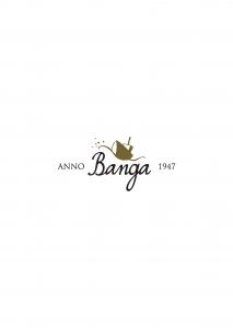 Banga Ltd