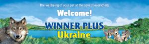 LLC Winner Plus Ukraine