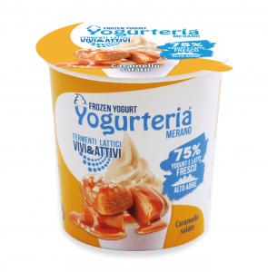 YOGURTERIA-FROZEN YOGURT SALTED CARAMEL LACTOSE FREE-160ml
