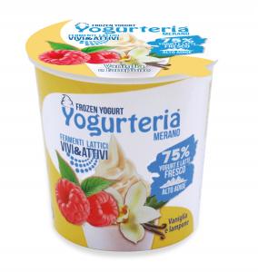 YOGURTERIA-FROZEN YOGURT VANILLA AND RASPBERRY 160m