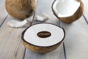 COCONUT ICE CREAM SHELL