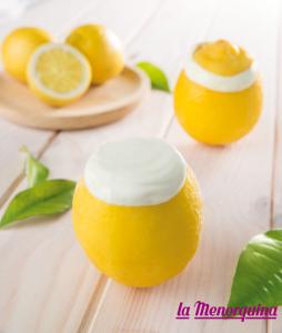 LEMON ICE CREAM SHELL