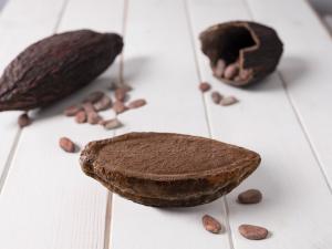 COCOA ICE CREAM SHELL