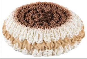 ICE CREAM CAKE VANILLA & CARAMEL  