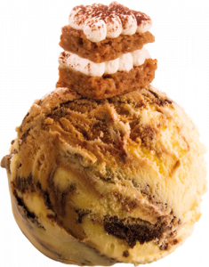 TIRAMISU ICE CREAM  - DECORATED SCOOPING