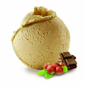 HAZELNUT PRALINE ORGANIC ICE CREAM 