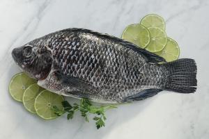 Tilapia Whole Gutted Gilled Scaled, Individually packed, 10% protective glazing (Copy)