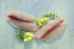 Naturally Better Tilapia Fillets, 120-140g in Foodservice Carton