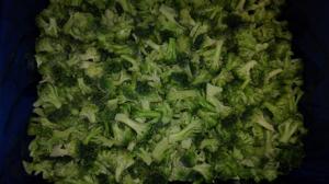 IQF BROCCOLI