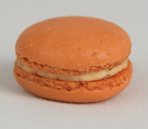 Salmon dill Macaron