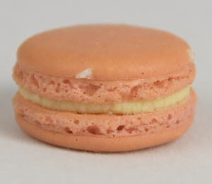 Champagne Macaron