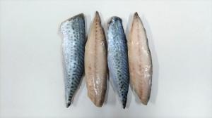 Mackerel fillets
