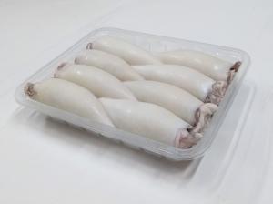 Clean Patagonian Squid