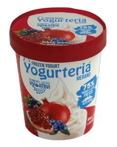 YOGURTERIA-FROZEN YOGURT BLACKCURRANT-BLUEBERRY-POMEGRANATE LACTOSE FREE-160ml/80g (Copy)