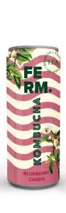 Ferm kombucha Cassis/blueberry