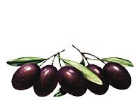Olives