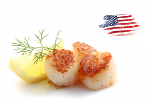 Scallops USA wild caught MSC
