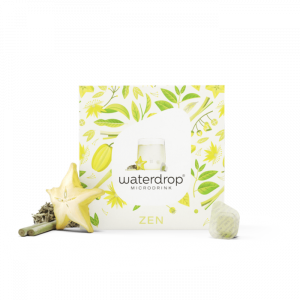 Microdrinks - ZEN - 12 Pack