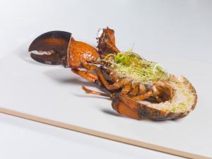 Split lobster UHP MSC