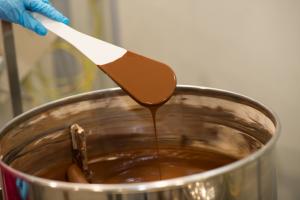 vegan, organic and allergen free chocolate