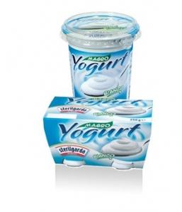 Yogurt