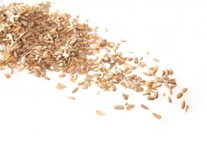 Organic Sunflower seed kernels