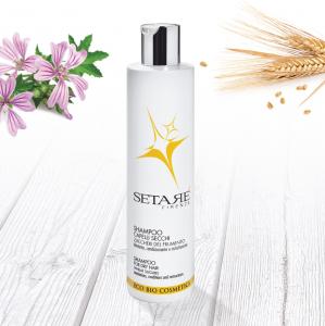 Organic Shampoo for Dry Hair