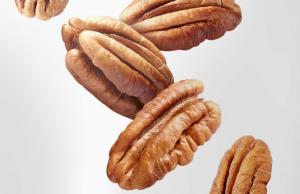 Pecan nut kernels