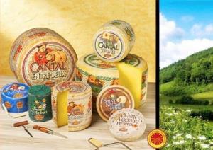 Cantorel Cheese