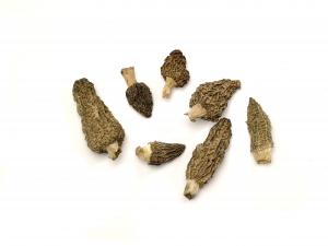 Dried Morels