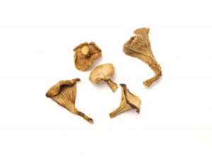 Dried Chanterelles