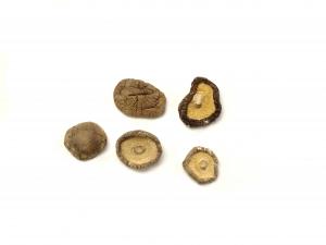 Dried Shiitake