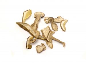 Dried Porcini