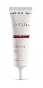 PRO CLEAR SPOT CORRECTOR