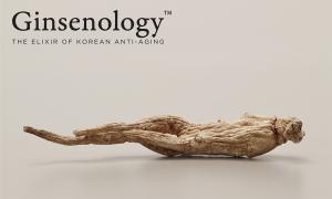 GINSENOLOGY
