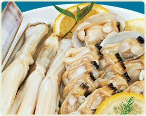 Clams / Razor Shells