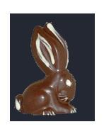 Bimbi- the chocolate mould