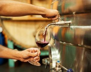 Bulk Entry level Argentinian Shiraz