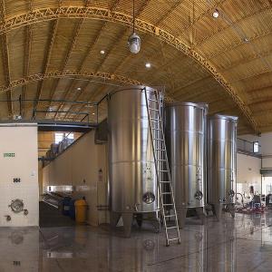 Bulk Entry level Argentinian Torrontes