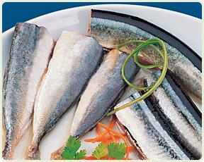 CABO de PEÑAS Blue Line
