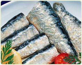 CABO de PEÑAS Sardine
