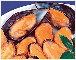 CABO de PEÑAS  Mussels
