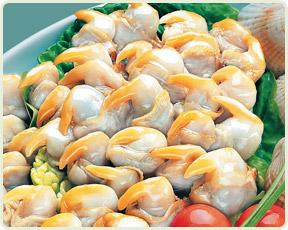 CABO de PEÑAS  Cockle
