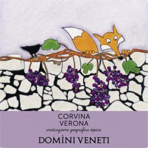 The School in the vineyards Corvina igt Veneto