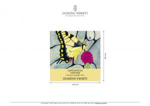 Garganega igt Veneto 