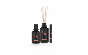 Cheeky Soul Fragrance Collection 2020