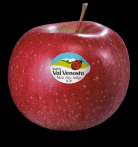 The Apple-Garden Val Venosta