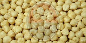 Hazelnut Kernels